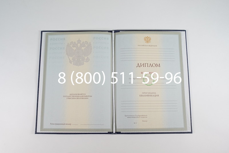 Диплом о высшем образовании 2003-2009 годов в Уфе Диплом о высшем образовании 2003-2009 годов в Уфе